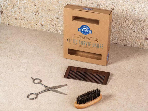 Kit de survie barbe - Peigne à barbe, brosse à barbe, ciseaux de précision
